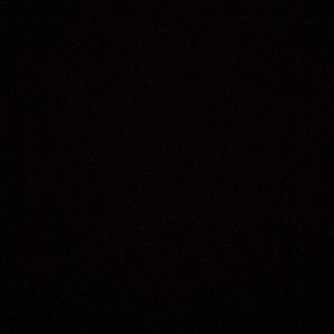 Meet your Posher, Nadine